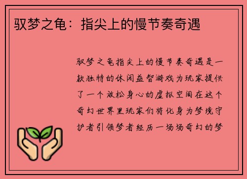 驭梦之龟：指尖上的慢节奏奇遇